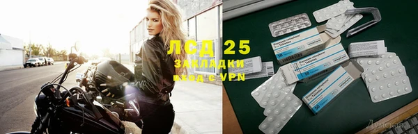 гашик Лагань