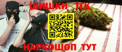 шишки Камышлов