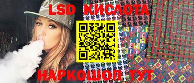 шишки Камышлов
