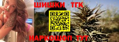 шишки Камышлов