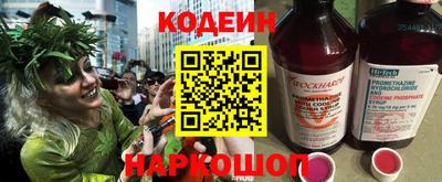 шишки Камышлов