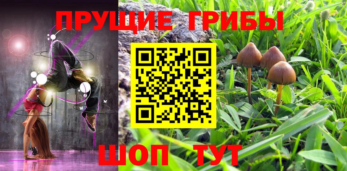 закладки  Печора  Псилоцибиновые грибы мухоморы 